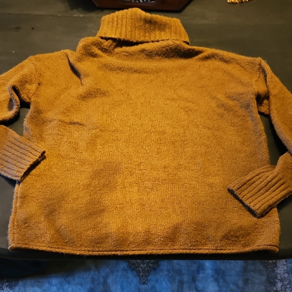 Women's Brown Turtleneck Sweater